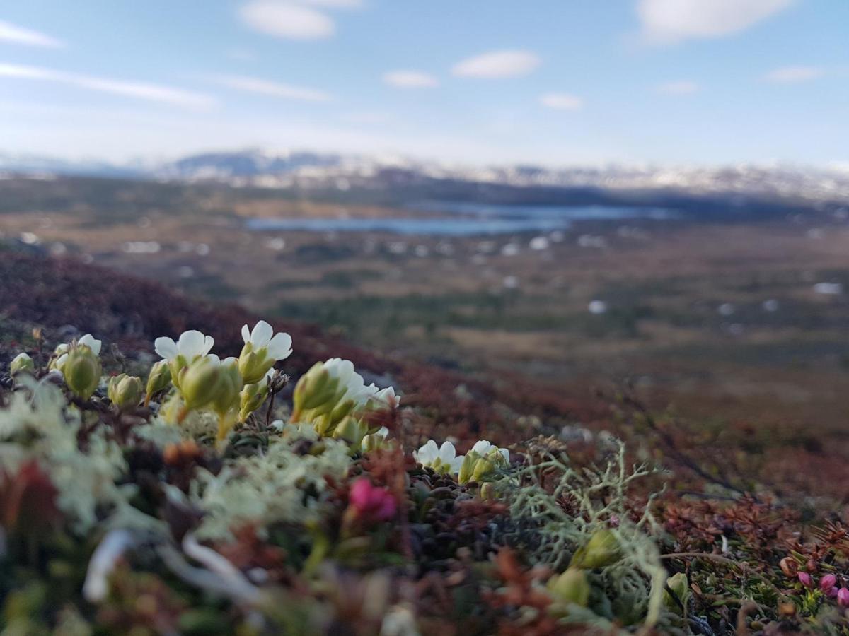 Хостел Renfjaellsgarden Edsasdalen Екстер'єр фото